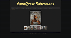 Desktop Screenshot of connquestdobes.com